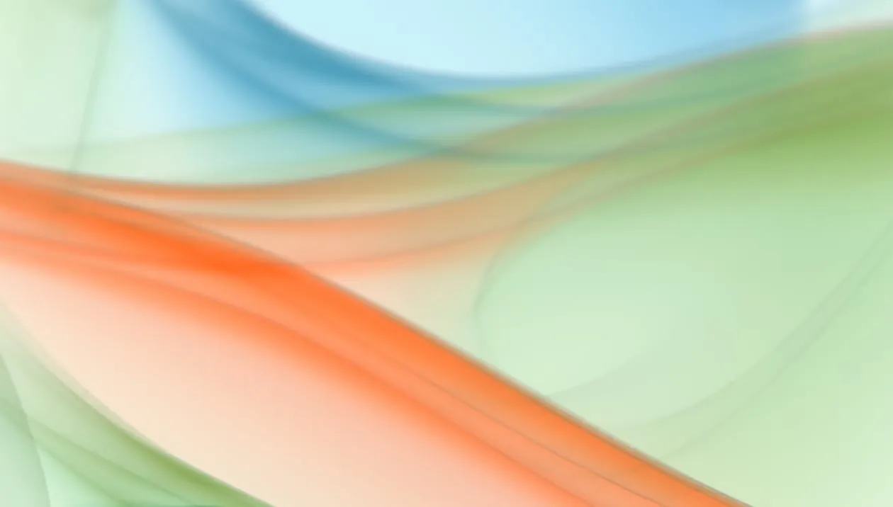 Sonic detail 2
