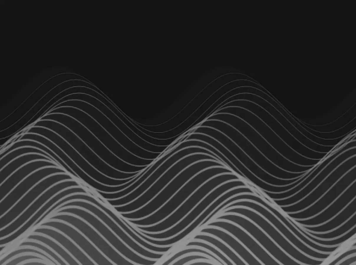 Brand & Visual Identity